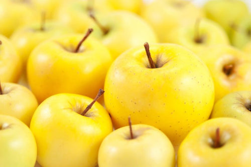 Pommier Golden (Malus domestica Golden Delicious) 1 - Achat en ligne