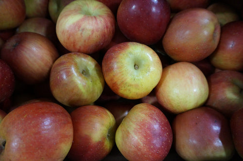 Pommier Fuji (Malus Domestica Fuji) 1 - Achat en ligne
