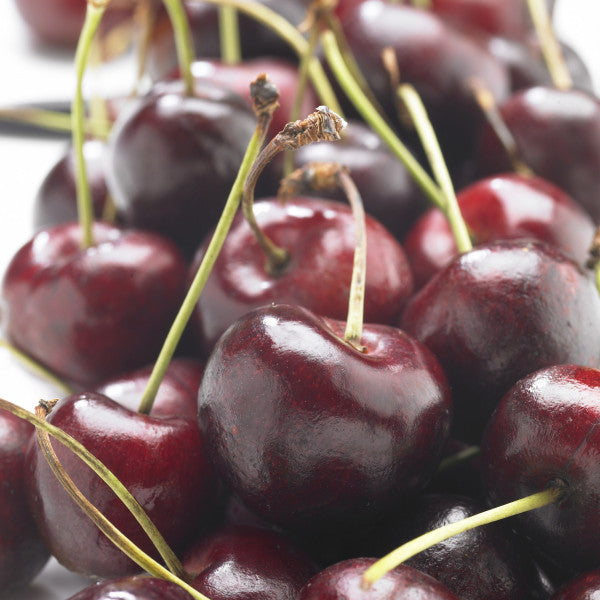 Cerisier Bigarreau Reverchon (Prunus avium Bigarreau Reverchon) 1 - Achat en ligne