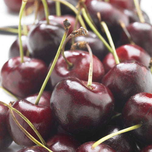 Cerisier Bigarreau Reverchon (Prunus avium Bigarreau Reverchon) 1 - Achat en ligne