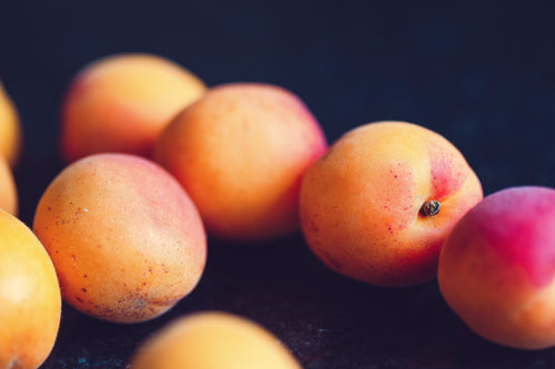 Abricotier Bergeron (Prunus armeniaca Bergeron) 1 - Achat en ligne