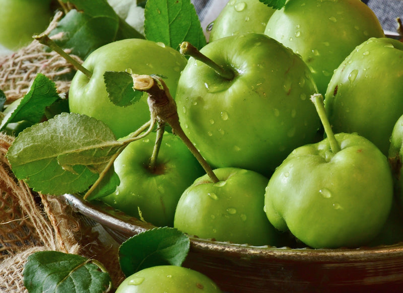 Pommier Granny Smith (Malus domestica Granny Smith) 1 - Achat en ligne