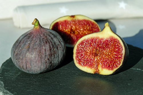 Figuier Noire de Caromb (Ficus carica Noire de Caromb) 1 - Achat en ligne