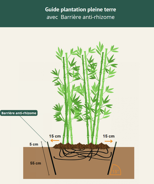 Barrière anti-rhizome (au mètre linéaire) 1 - Achat en ligne