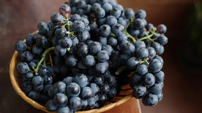 Vigne de table noire 1 - Achat en ligne