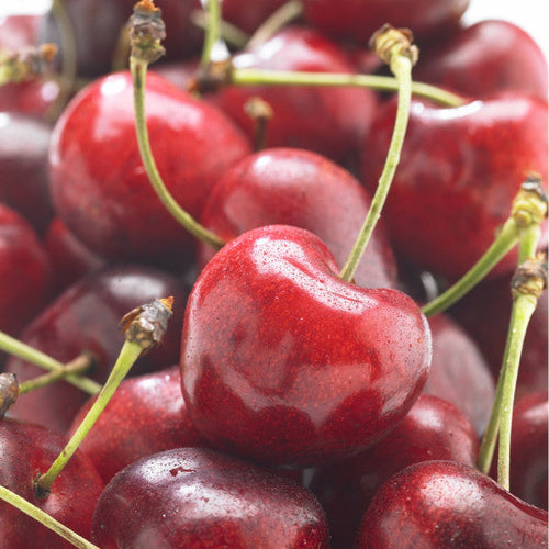 Cerisier Summit (Prunus avium Bigarreau Summit) 1 - Achat en ligne