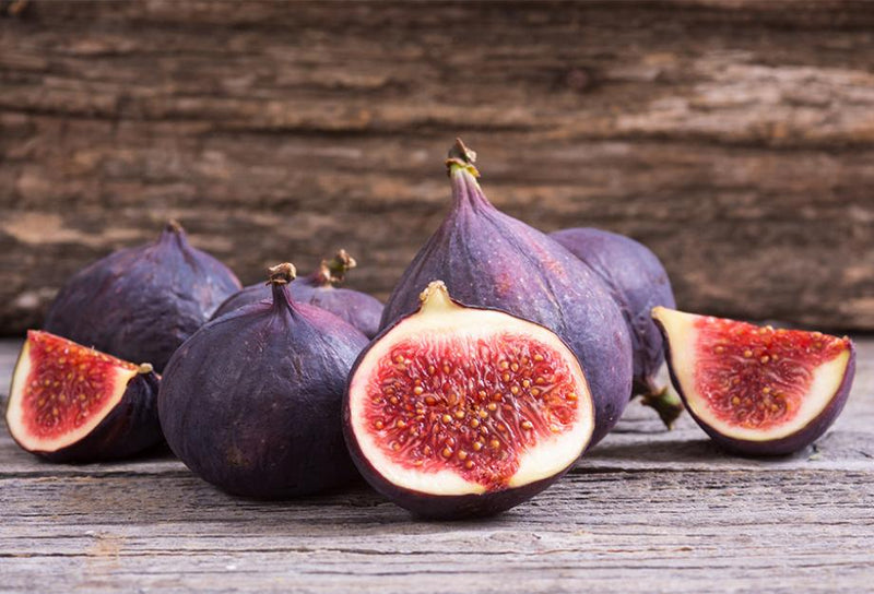 Figuier Rouge de Bordeaux (Ficus carica Rouge de Bordeaux) 1 - Achat en ligne