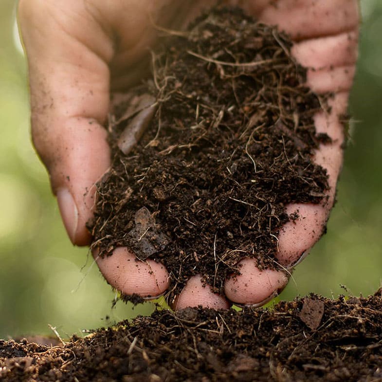 Terreau pour bambou - 40 L 2 - Achat en ligne