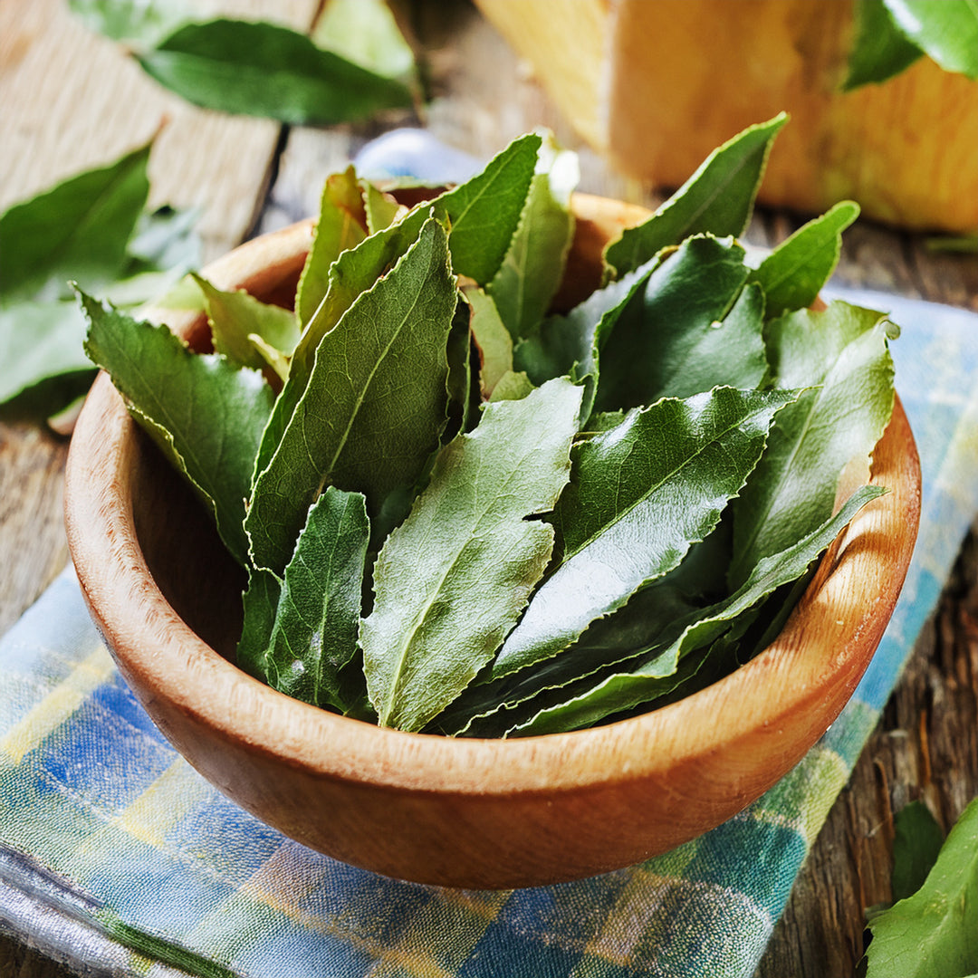 Comment récolter et cuisiner le laurier sauce de son jardin ? Plantes — free download