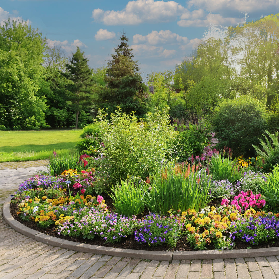 massif de jardin avec plantes clorées
