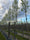 Image to render