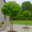 Image to render