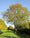 Image to render