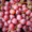 Image to render