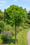 Image to render