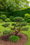 Image to render