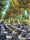 Image to render