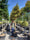 Image to render