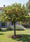 Image to render