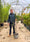 Image to render