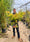 Image to render