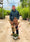 Image to render