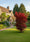 Image to render