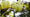Image to render