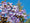 Image to render