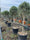 Image to render