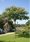 Image to render