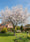 Image to render