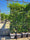 Image to render