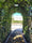 Image to render