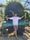 Image to render