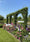 Image to render