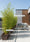 Image to render