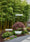 Image to render
