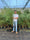 Image to render
