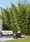 Image to render