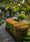 Image to render