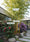 Image to render