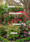 Image to render