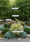 Image to render