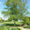 Image to render