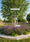 Image to render