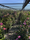 Image to render