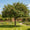 Image to render
