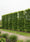 Image to render