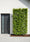 Image to render